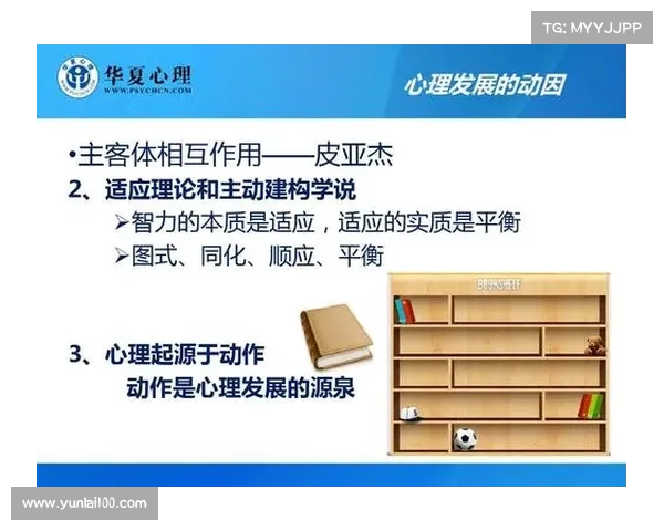 为什么看似无意义的网站能吸引大量访问者背后的心理和行为动因分析
